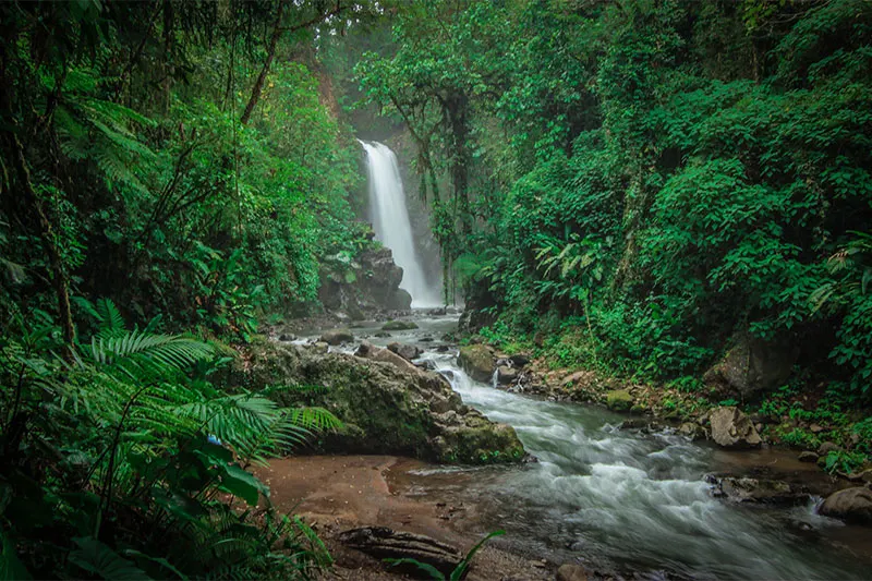 Jardins des cascades de La Paz depuis San José