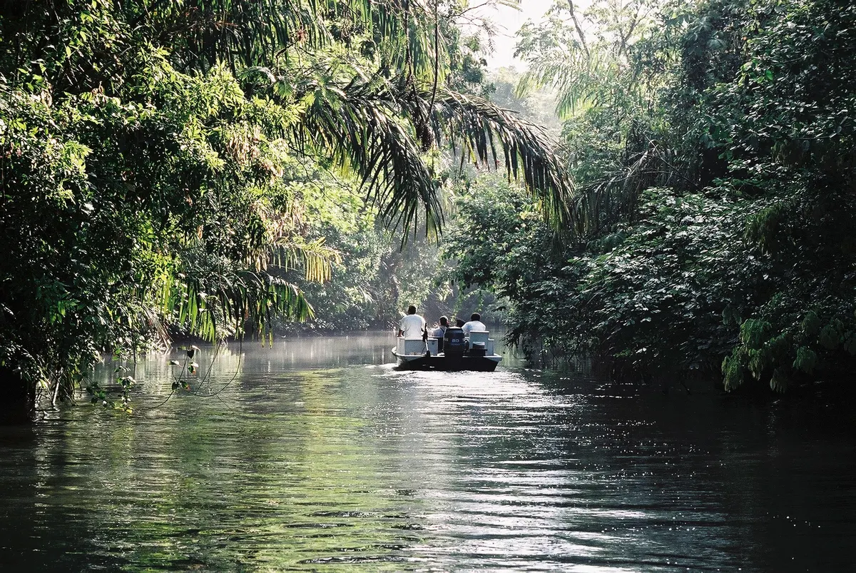 Excursion d’un jour à Tortuguero depuis San José